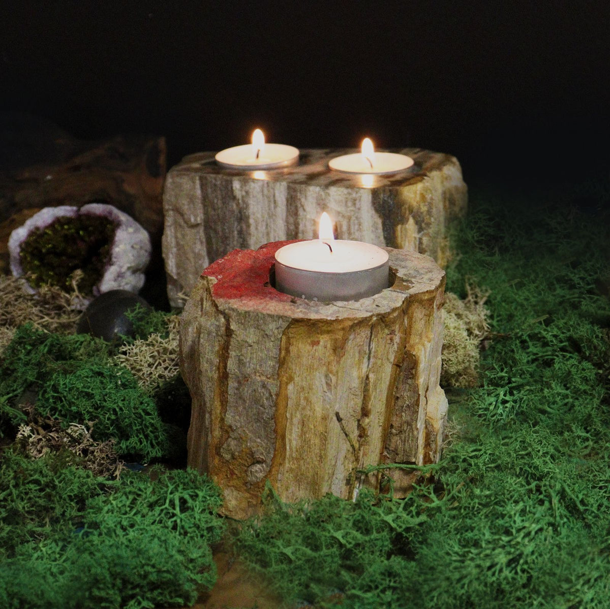 Petrified Wood Candle Holder - Single Low Tealight, 7.5×9cm