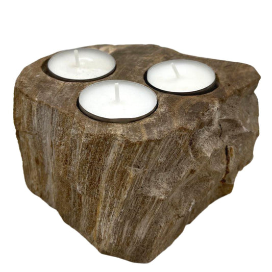 Petrified Wood Triple Tealight Candle Holder - 6x13x15cm