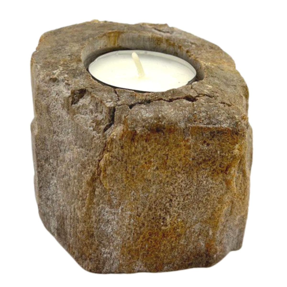 Petrified Wood Candle Holder - Single Low Tealight, 7.5×9cm