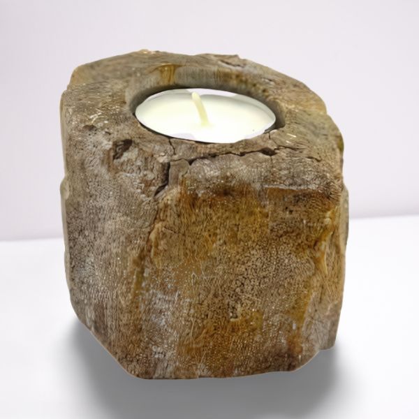 Petrified Wood Candle Holder - Single Low Tealight, 7.5×9cm
