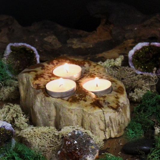 Petrified Wood Candle Holder - Double Tealight - 12.5cm